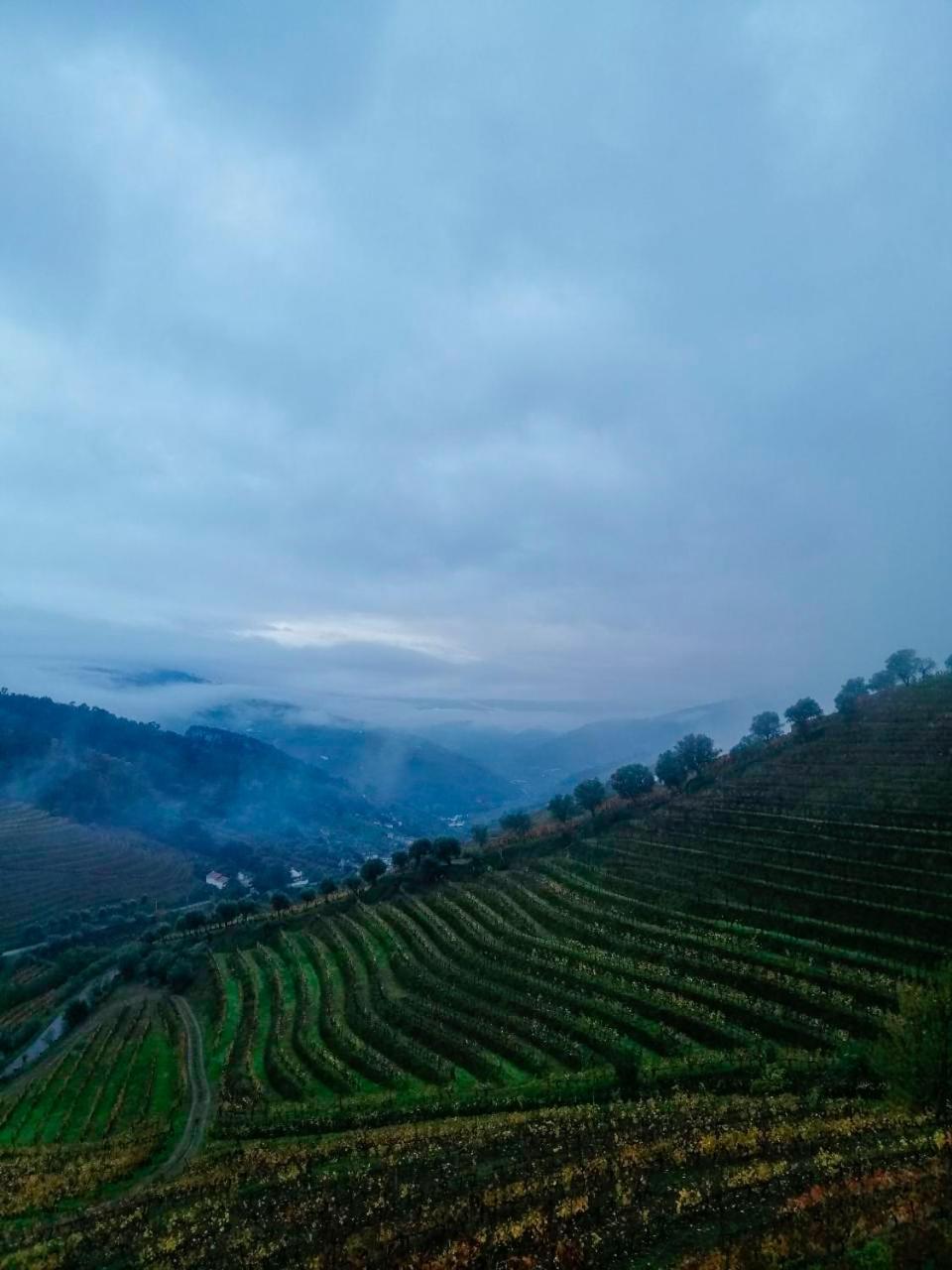 Vila Marim Quinta De Baixo 빌라 외부 사진
