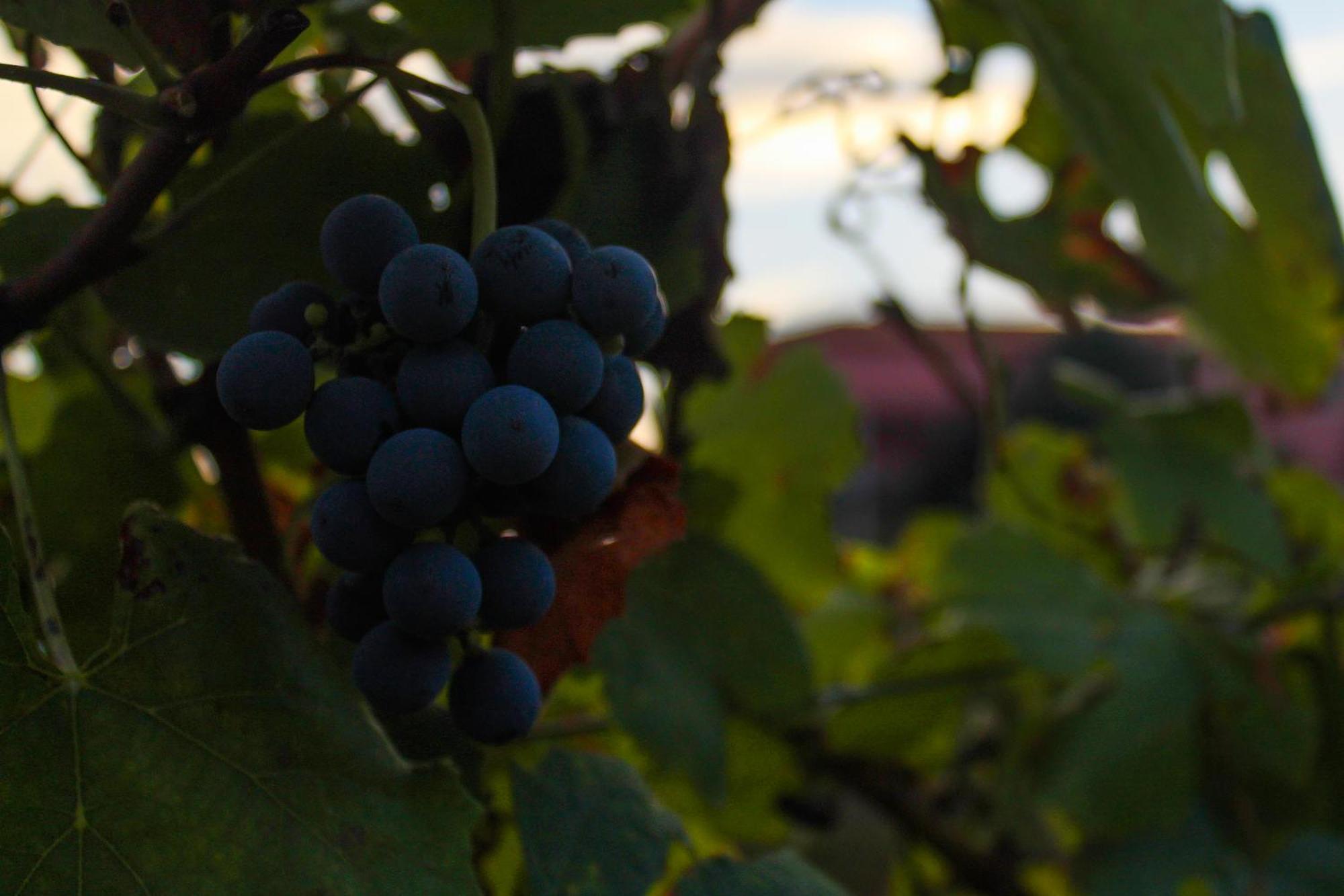 Vila Marim Quinta De Baixo 빌라 외부 사진