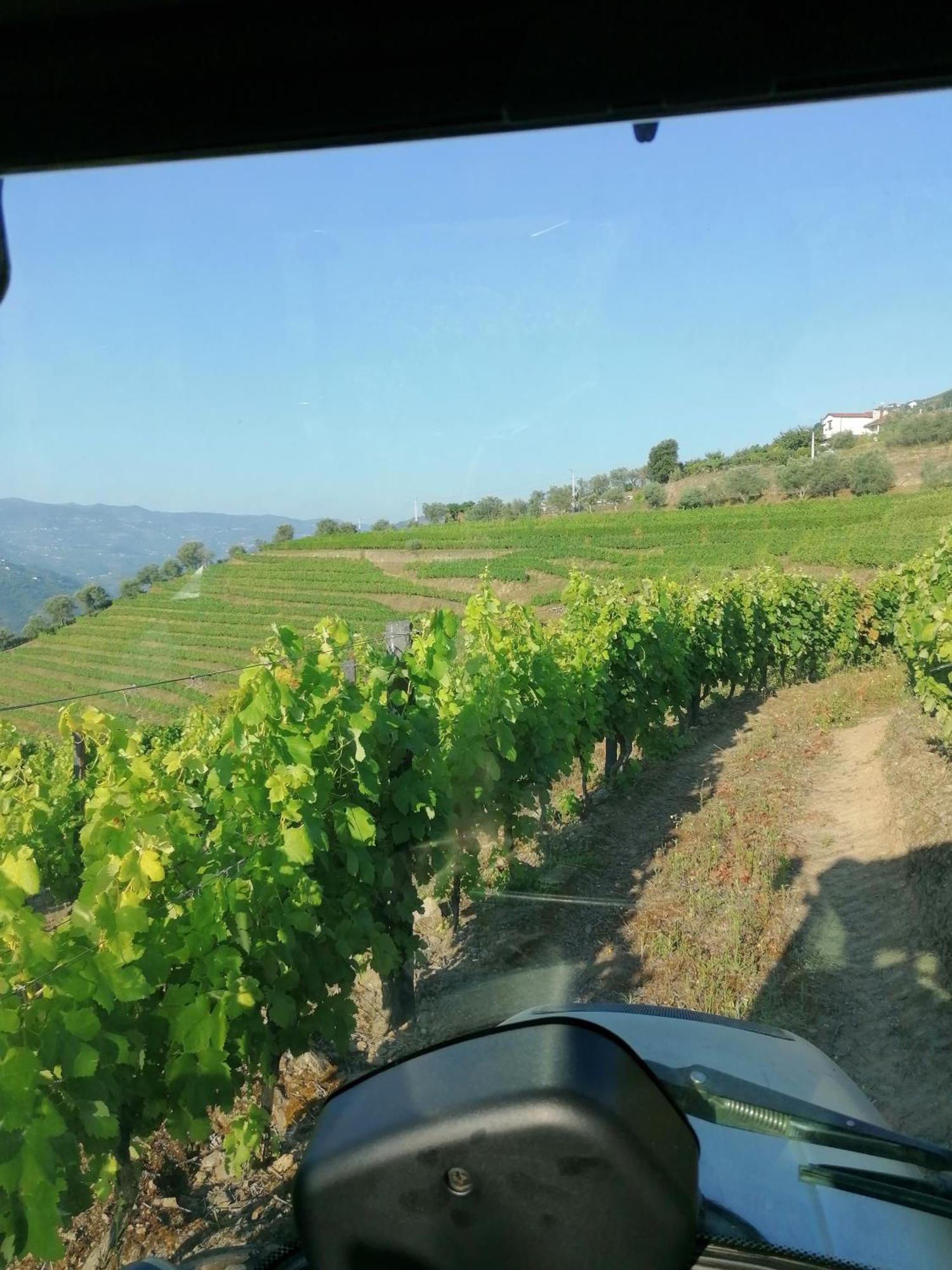 Vila Marim Quinta De Baixo 빌라 외부 사진