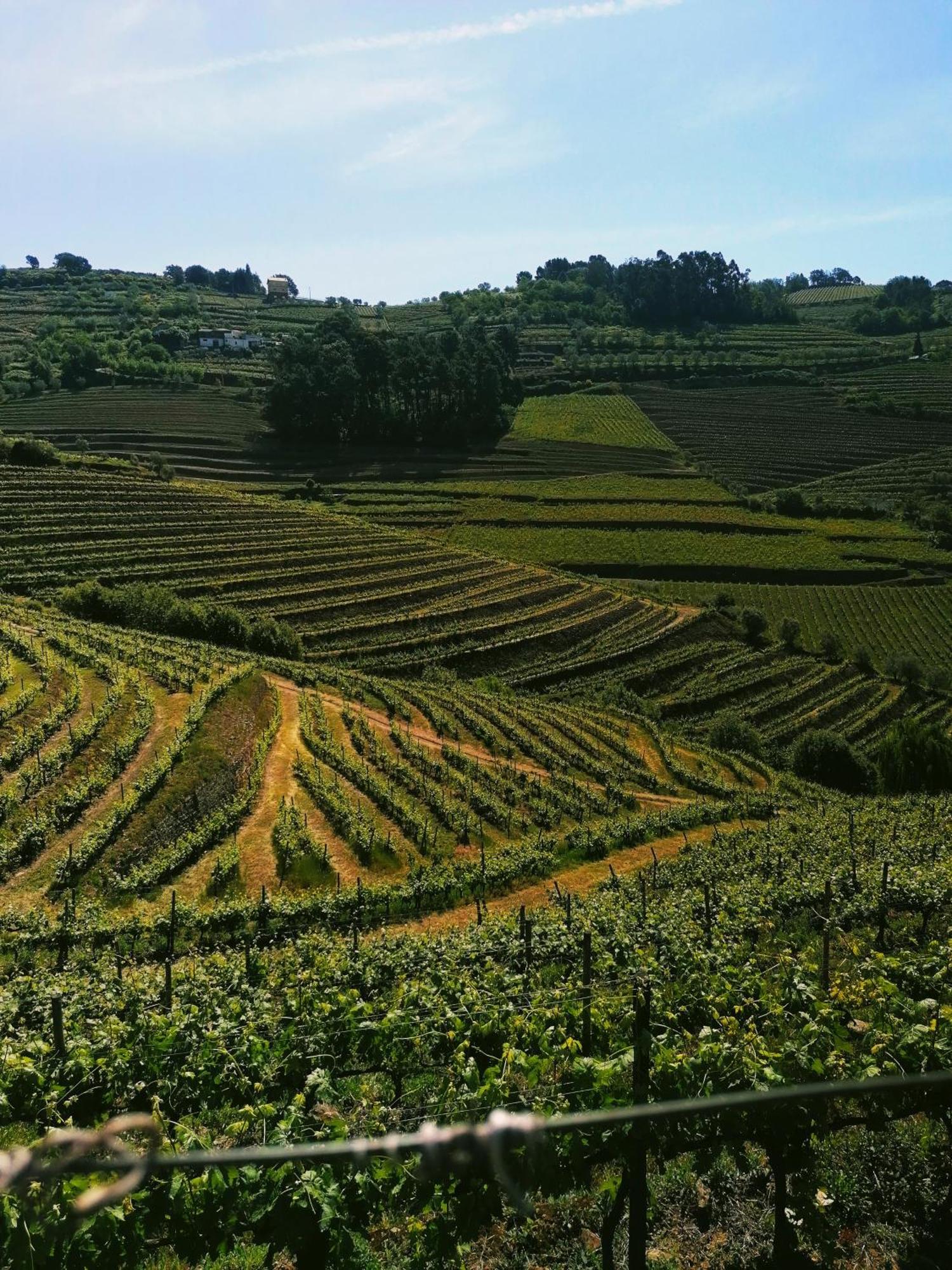 Vila Marim Quinta De Baixo 빌라 외부 사진