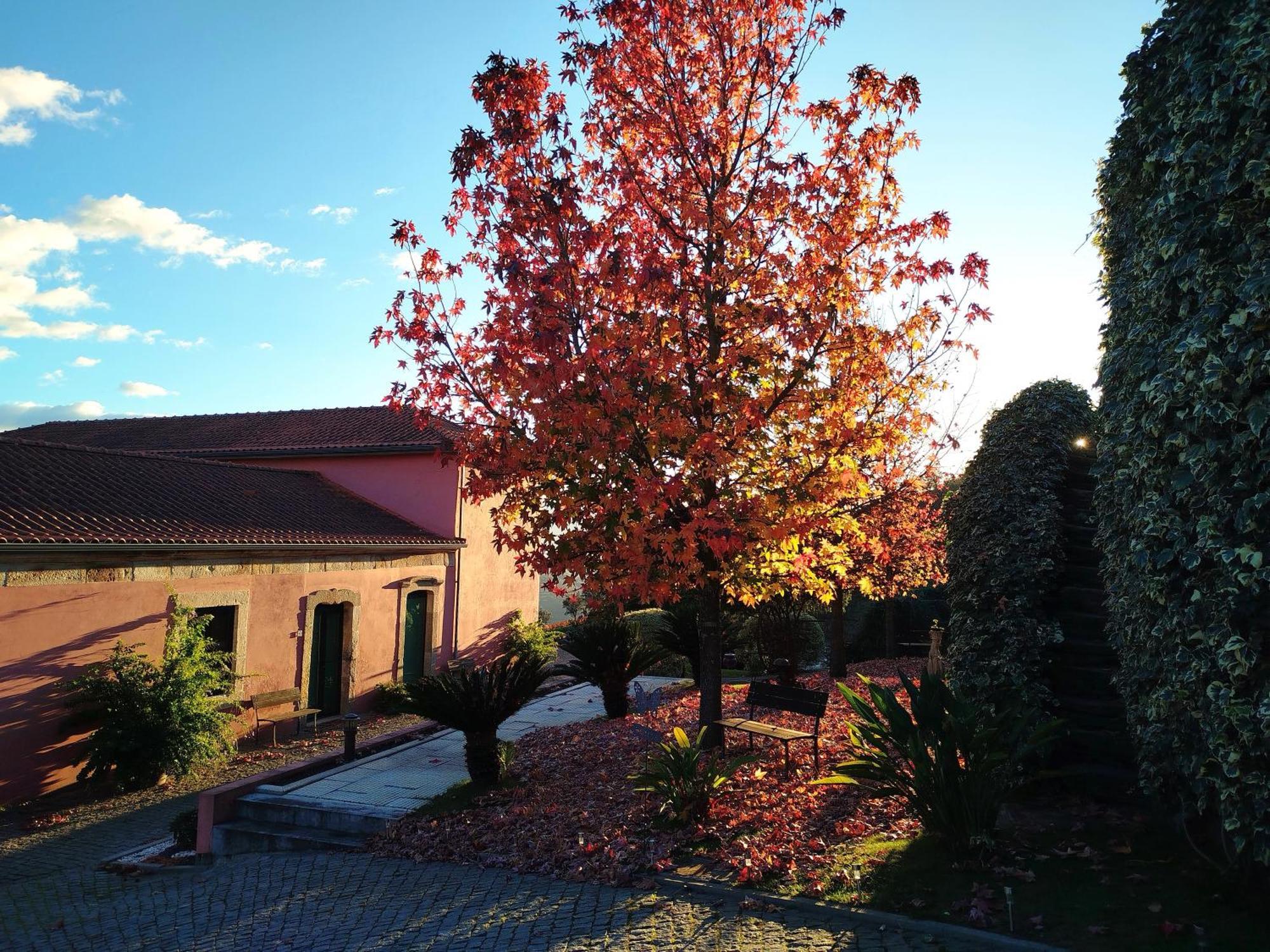 Vila Marim Quinta De Baixo 빌라 외부 사진